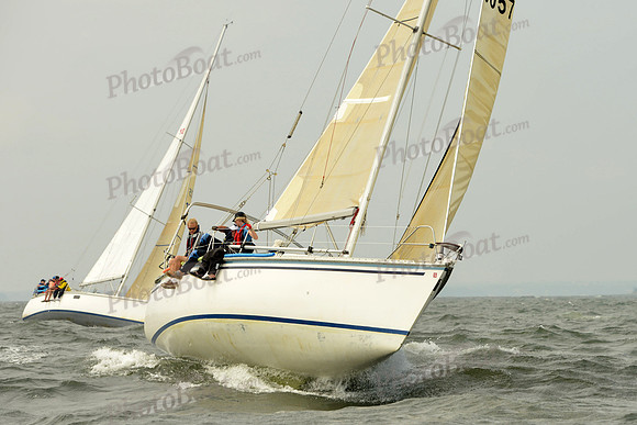 2015 Vineyard Race A 201