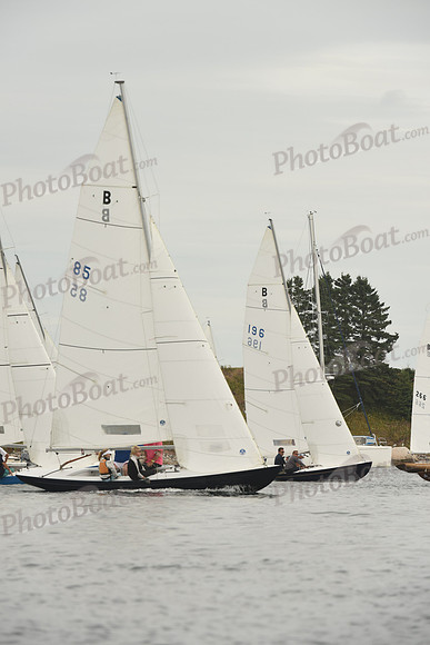 2016 Chester Race Week F_0170