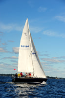 2014 Vineyard Race A 259