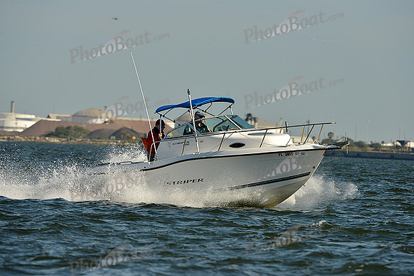 2015 J70 Winter Series E 209
