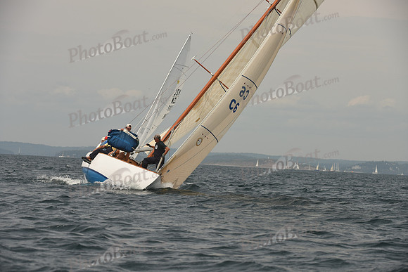 2016 Chester Race Week C_0730