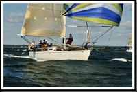 proof_2010_Vineyard_Race_0449