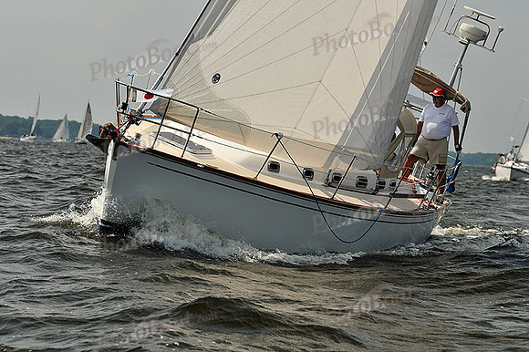 2013 Gov Cup A 439