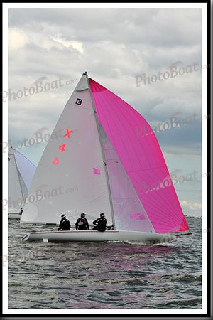 proof_2010_EScows_B 654