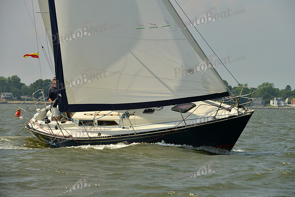 2016 Southern Bay Race Week B_0478