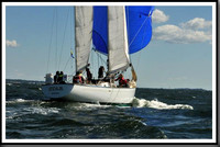 proof_2010_Vineyard_Race_0248