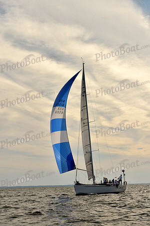 2017 Vineyard Race A_2256