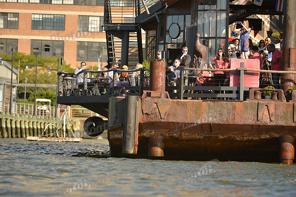 2016 NY Architects Regatta_0674