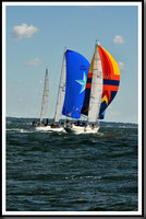proof_2010_Vineyard_Race_0258