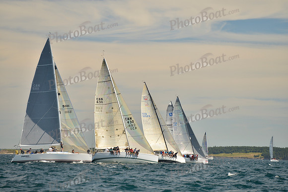 2016 Chester Race Week B_0032