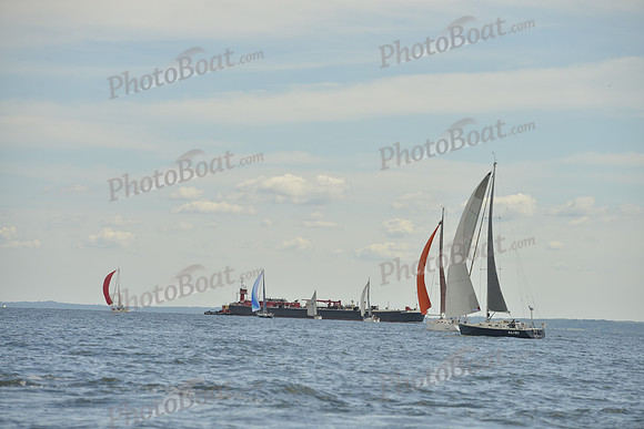 2016 Vineyard Race A_0914