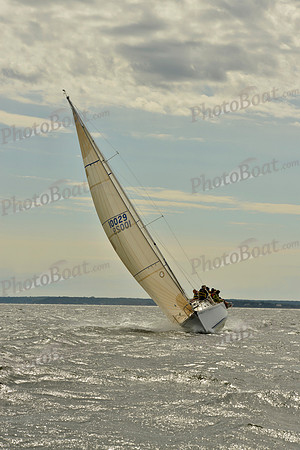 2016 Denmark Race_0494