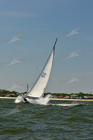 2014 Southern Bay Race Week D 390