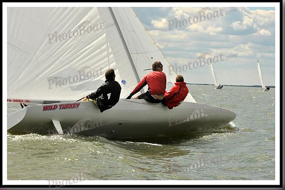 proof_2010_EScows_B 281