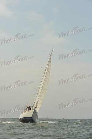 2015 Vineyard Race A 300
