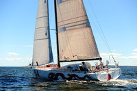 2014 Vineyard Race A 703