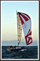 proof_2010_Vineyard_Race_2350