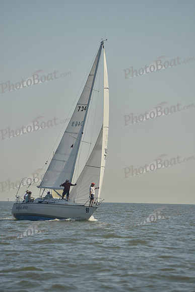 2017 Southern Bay Race Week B_0008
