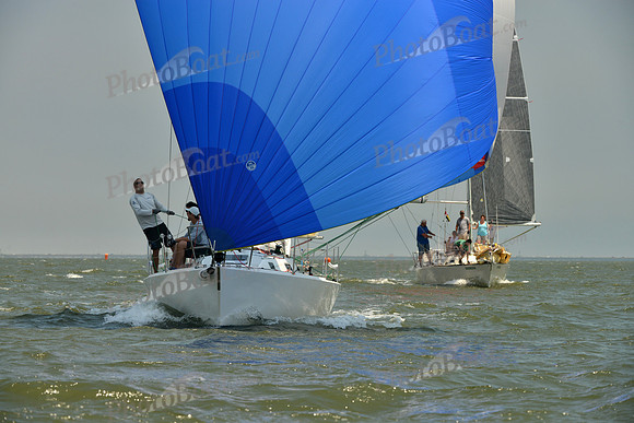 2016 Southern Bay Race Week A_1484