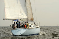 2013 Vineyard Race A 603