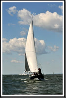 proof_2010_Vineyard_Race_1092