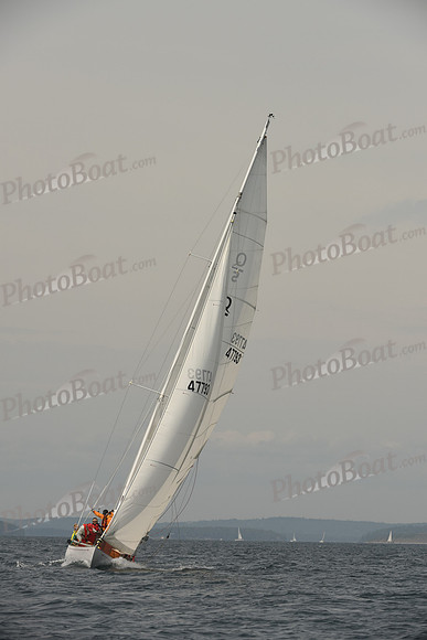 2016 Chester Race Week C_0720
