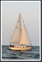 proof_2010 Gov Cup A 1486