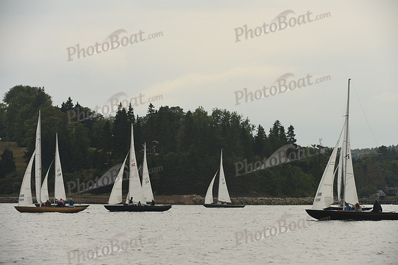 2016 Chester Race Week D_1004