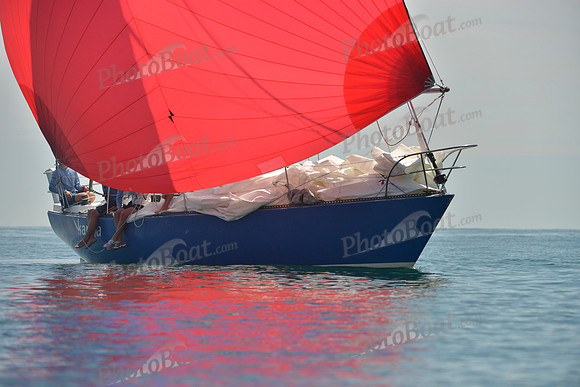 2019 Around Marthas Vineyard B_0325