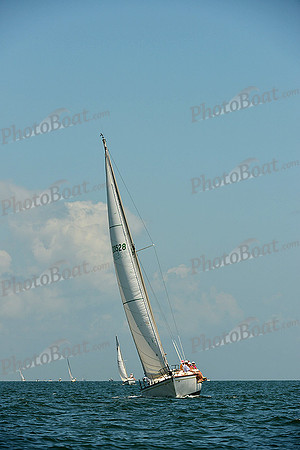2015 Southern Bay Race Week C 645
