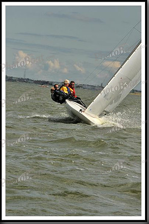 proof_2010_EScows_B 878