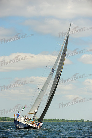 2014 NYYC Annual Regatta C 497