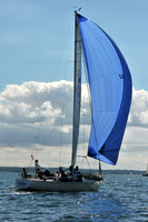 2010 IRC LIS 1563