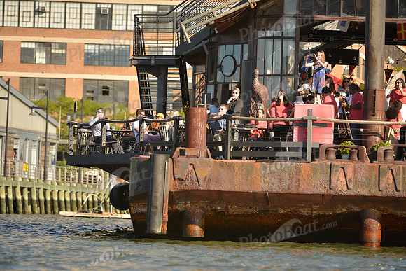 2016 NY Architects Regatta_0673