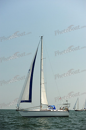 2014 Cape Charles Cup A 976
