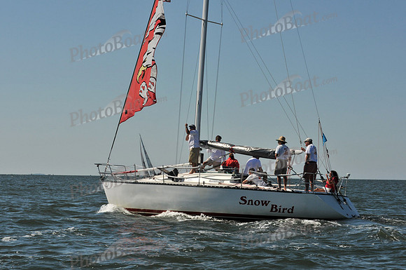 2010 Leukemia Cup 201