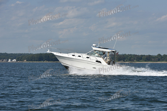 2019 Vineyard Race A_3007