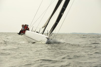 2015 Vineyard Race B 613