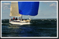 proof_2010_Vineyard_Race_0518