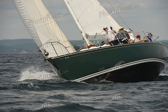 2016 Chester Race Week C_1266