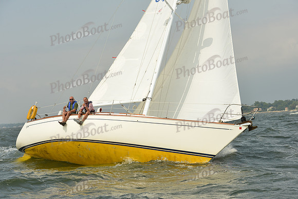 2015 Vineyard Race A 370