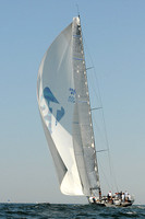2012 Vineyard Race A 1303