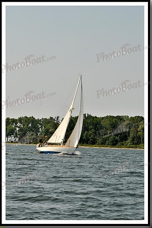 proof_2010 Gov Cup D 564