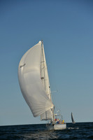 2015 Vineyard Race C 558