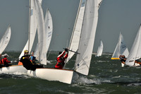 2012 Thistle Midwinters B 611