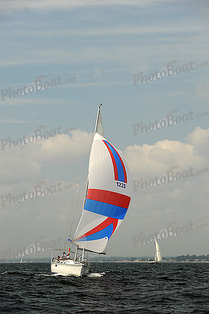 2013 Vineyard Race A 525