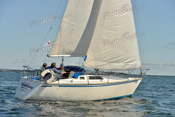 2017 Stamford Denmark Race_0132