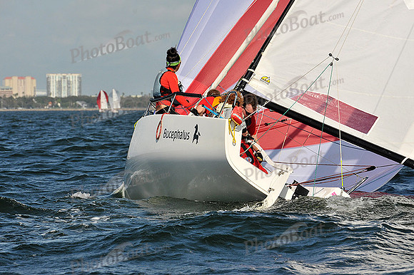 2014 J70 Winter Series A 981