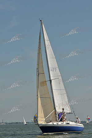 2013 Southern Bay Race Week A 306