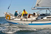 2017 Vineyard Race A_0608
